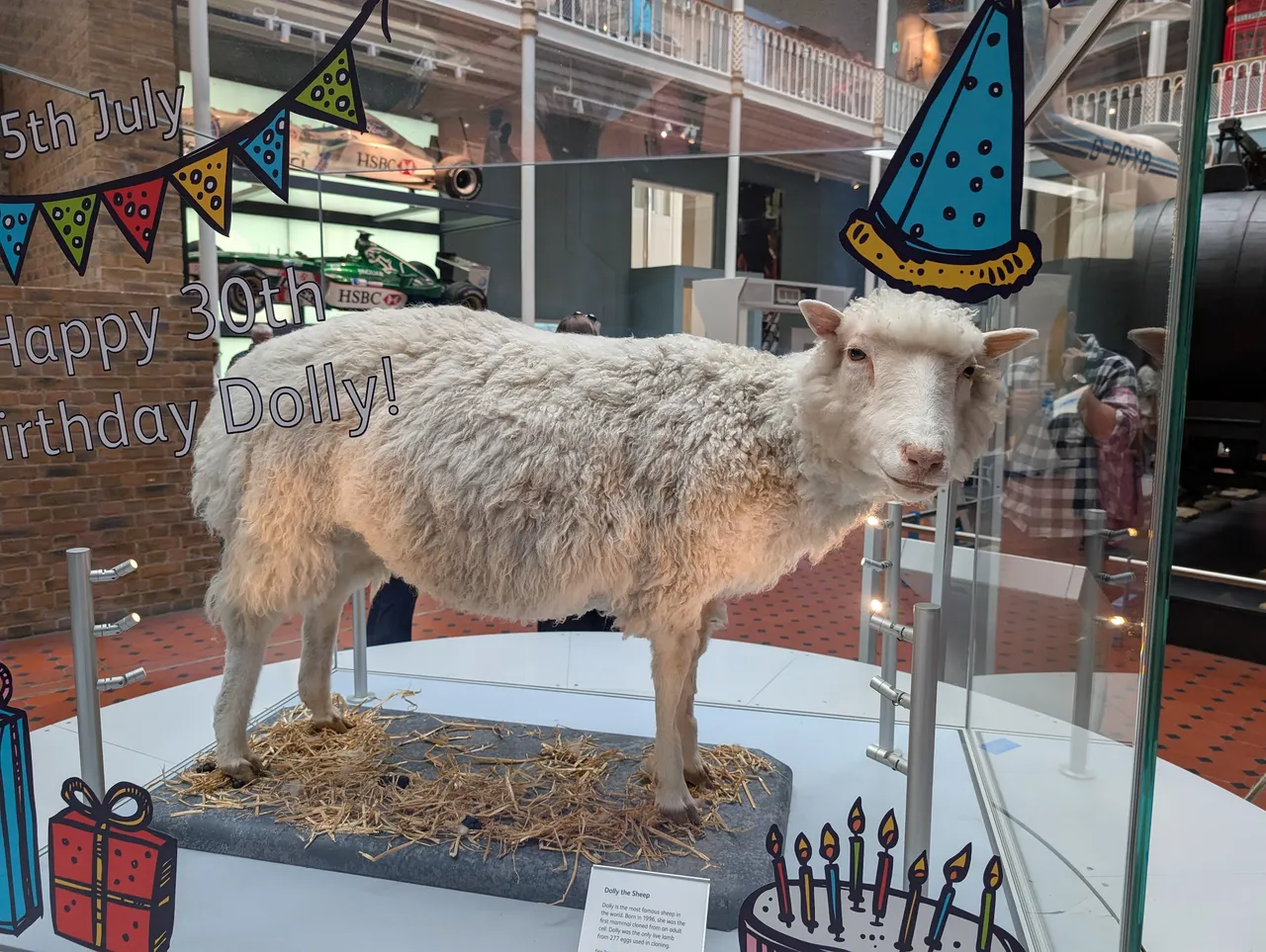 Y’all remember Dolly? The famous sheep that was a clone? She’s right there. Under glass. Forever.