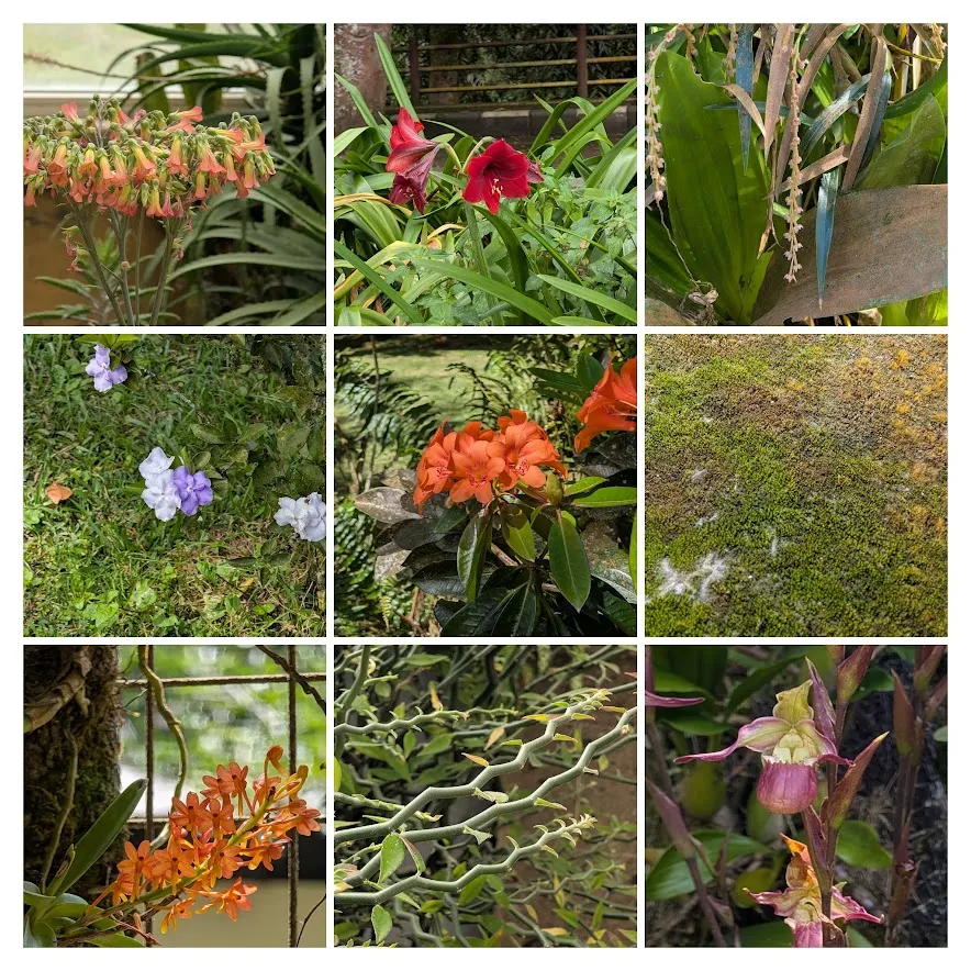 Can you tell that someone showed me how to use the custom focus and iso settings on my phone camera? Suddenly I have like a jillion flower photos. We stopped at the Botanical Gardens along the way. It was lovely and peaceful. There were not many other tourists there.