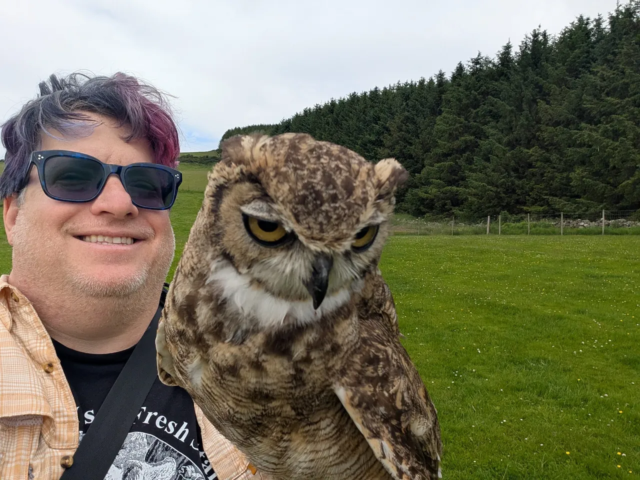 I also held a bird. Jeff of the day is Spot, a lesser eurasian eagle-owl. The greater ones were not interested in participating, as the mower had been running and it agitated them. This was a visit to the Huntly Falconry Centre in Huntley, they bring out a series of birds, and the trainer has them fly back and forth between audience members’ gloved hands. It was pretty rad. The Harris Hawk decided it was having none of this, and flew up into the trees and just looked at us.