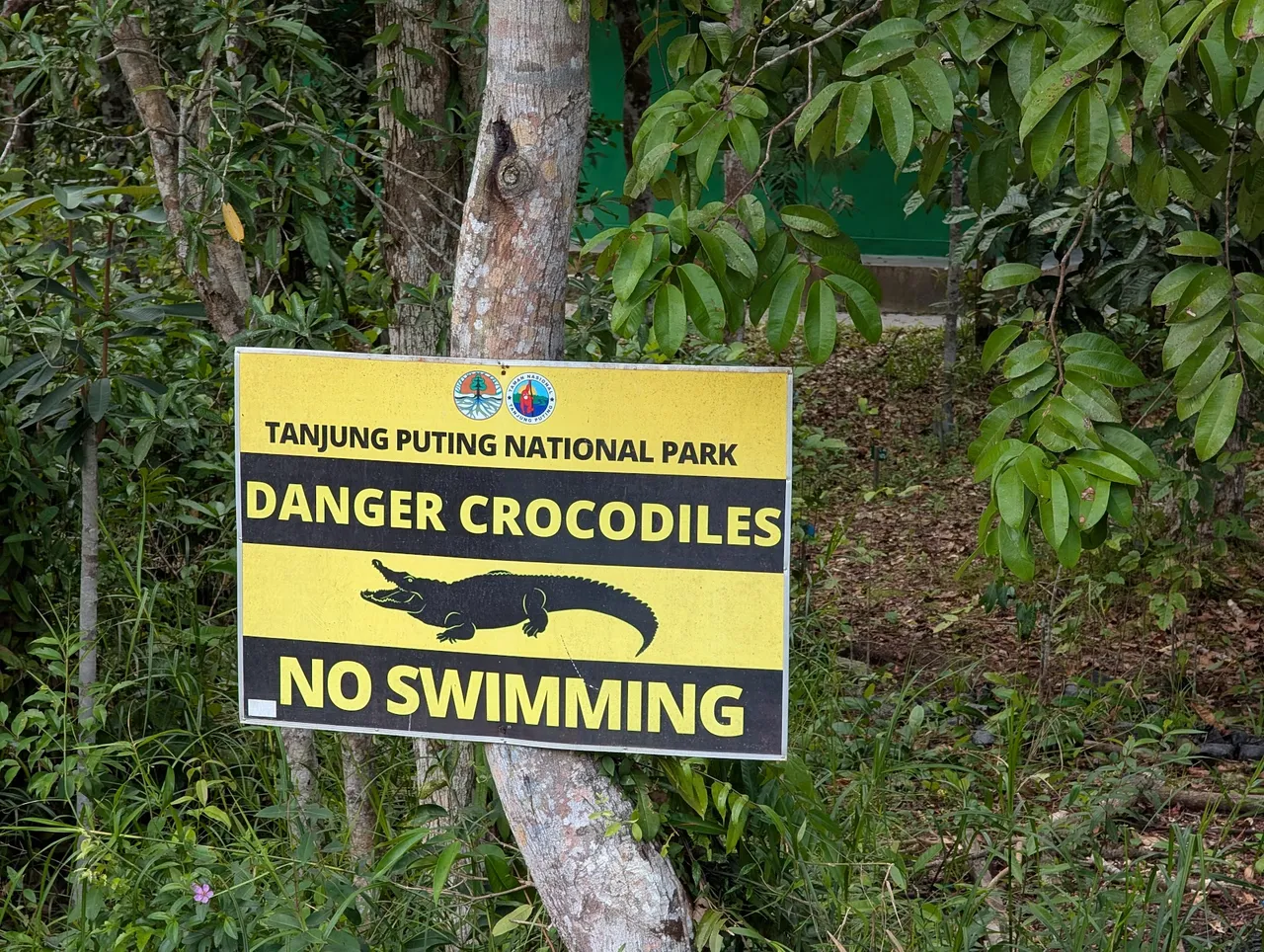 We saw one crocodile directly (it was small, and I didn’t get a photo before it startled) but did see evidence of crocs in the very muddy water (at least, the guide pointed at some bubbles and said “croc down there”).